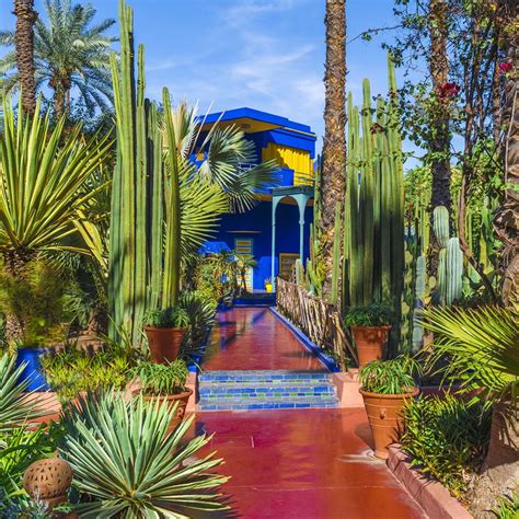 morocco garden yves saint laurent|jardin majorelle entrance fee.